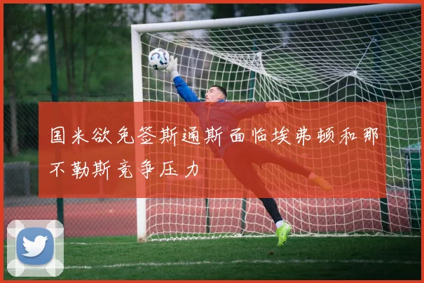 国米欲免签斯通斯面临埃弗顿和那不勒斯竞争压力